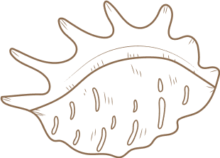 Fears and Limiting Beliefs